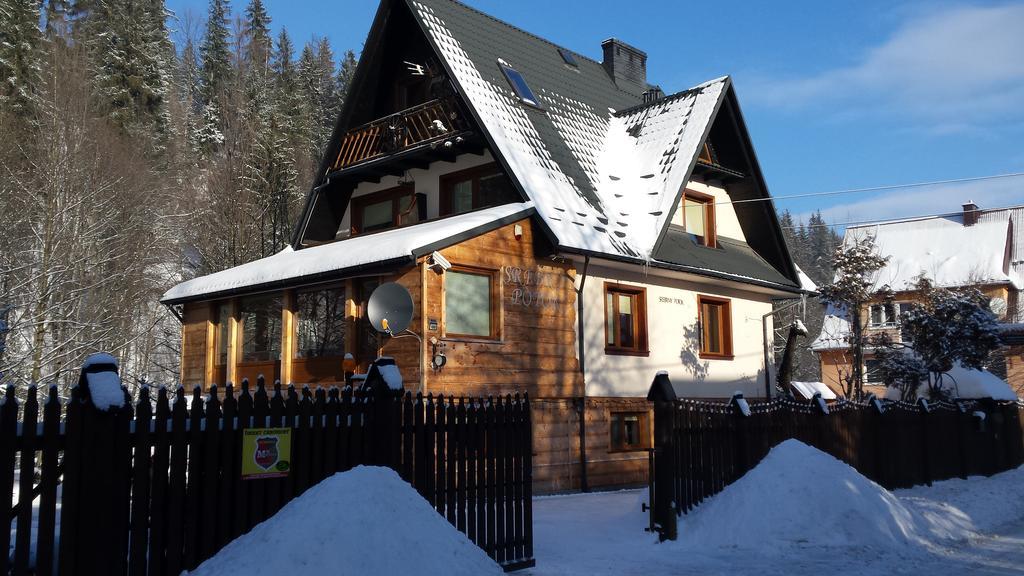 Homestay Srebrny Potok Zakopane Eksteriør bilde