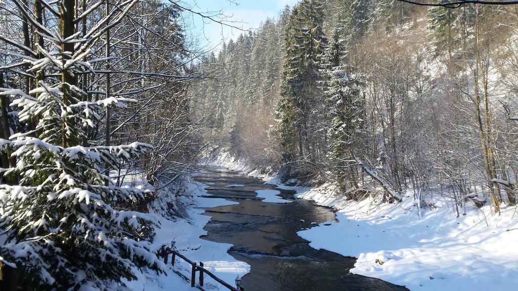 Homestay Srebrny Potok Zakopane Eksteriør bilde